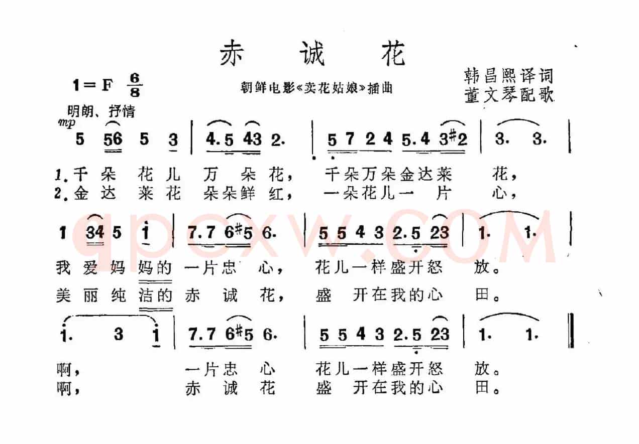 [朝鲜] 赤诚花