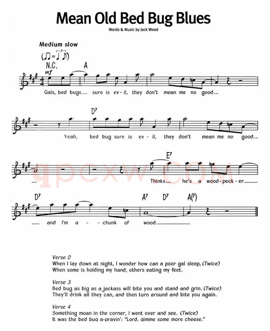 蓝调音乐：Mean Old Bed Bug Blues