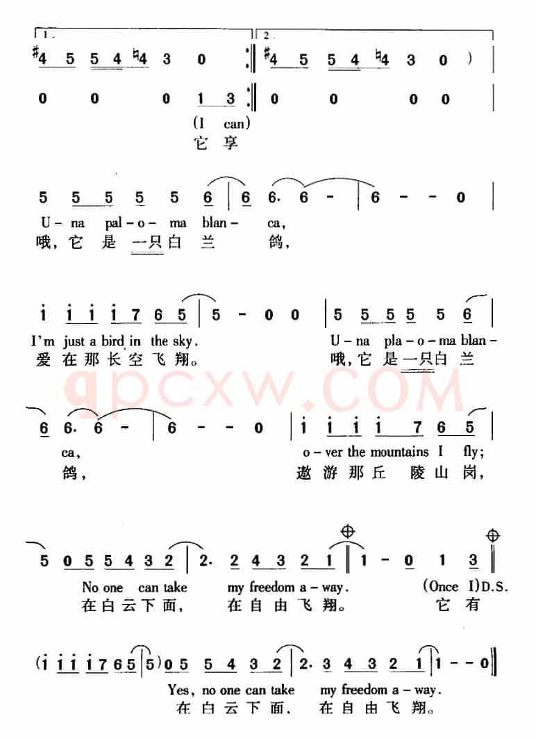 PALOMA BLANCA（白兰鸽）（ 中英文对照版）
