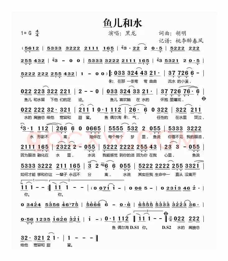 鱼儿和水