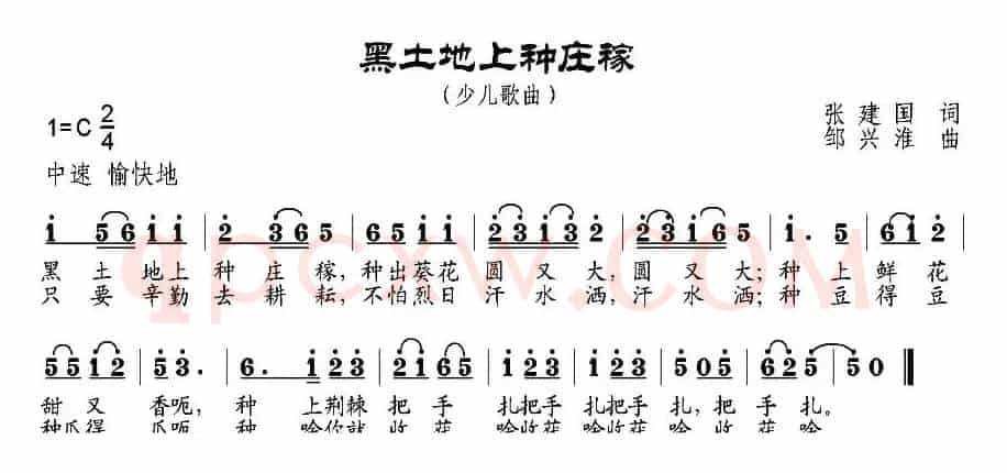 黑土地上种庄稼