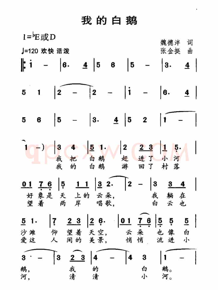 我的白鹅