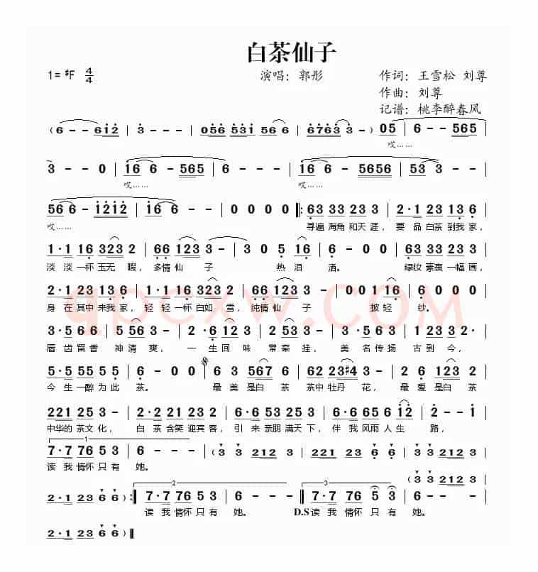 白茶仙子