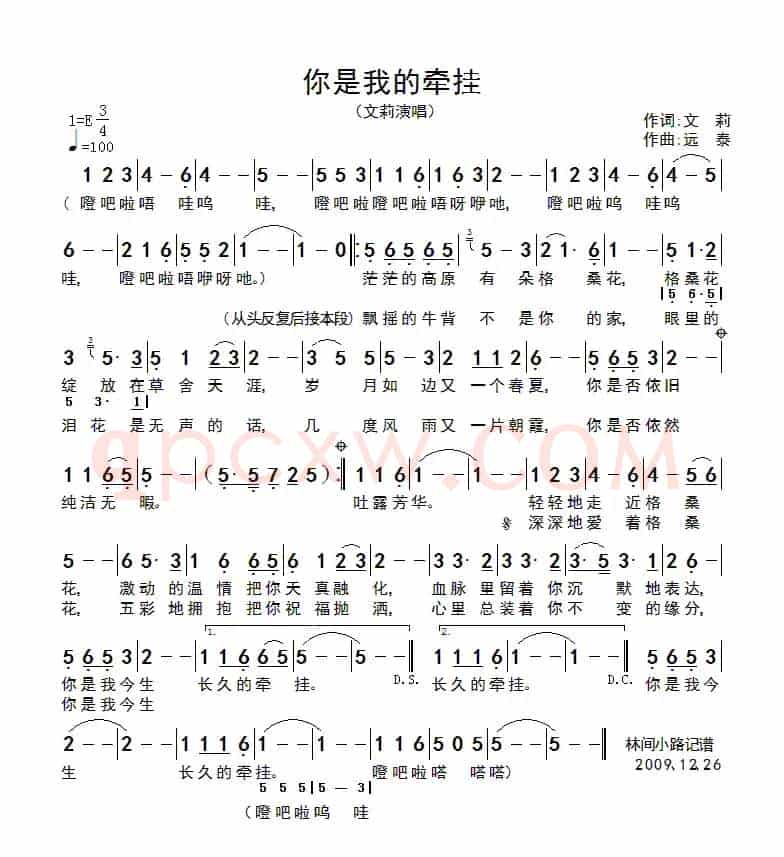 你是我的牵挂