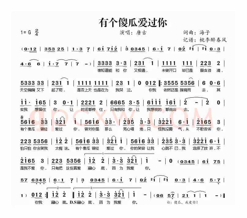 有个傻瓜爱过你