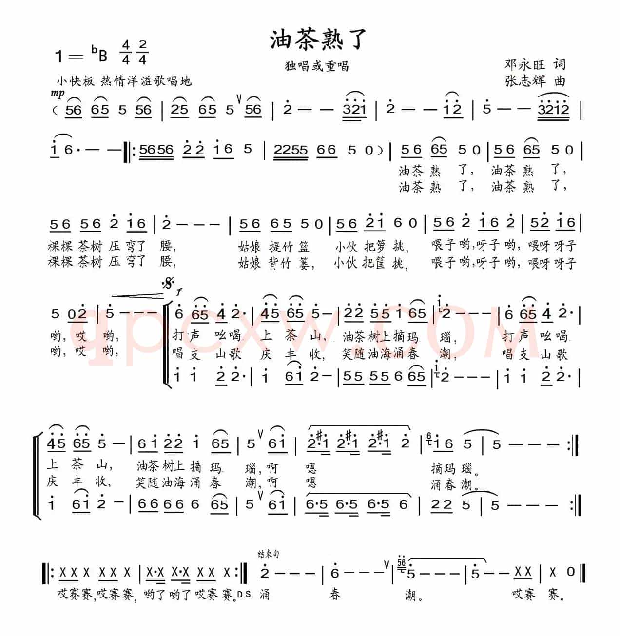油茶熟了