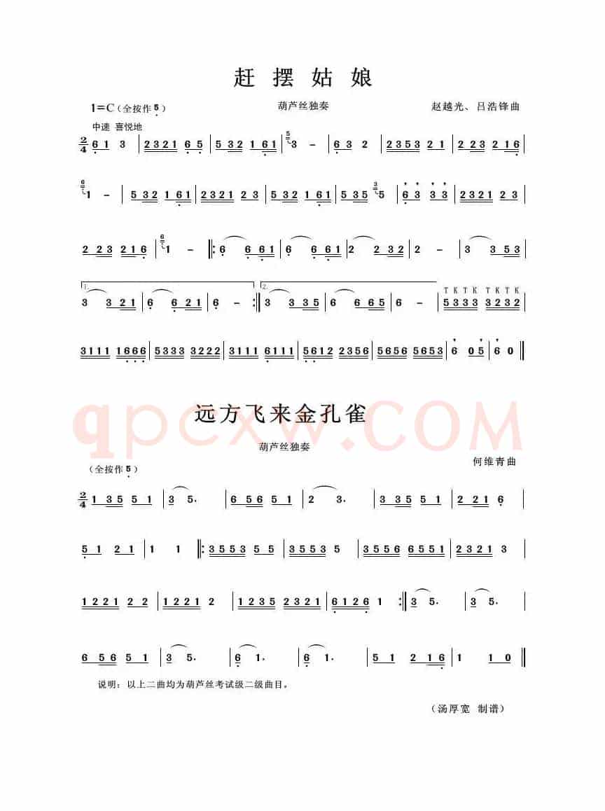 赶摆姑娘/远方飞来金孔雀（葫芦丝曲二首）