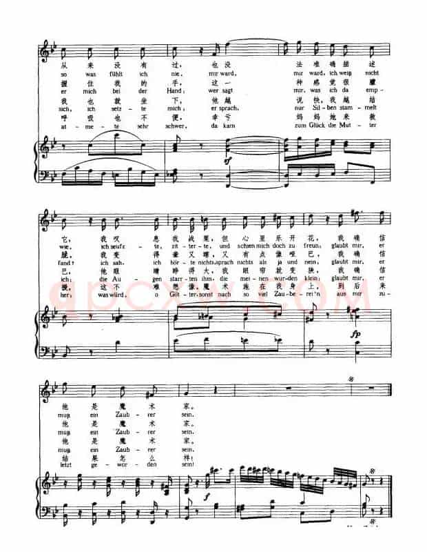 魔术家（Der Zauberer [中外文对照、正谱]）