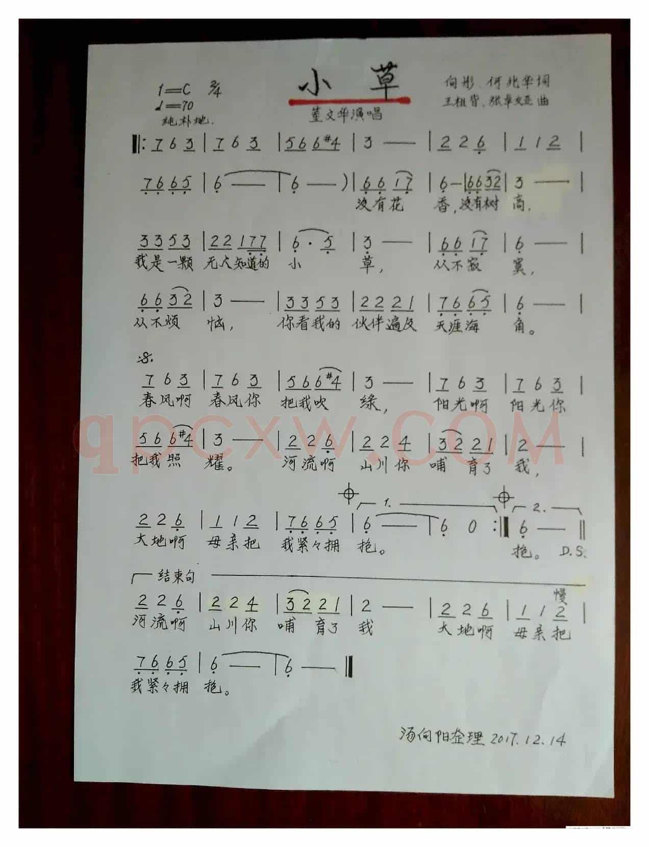 小草