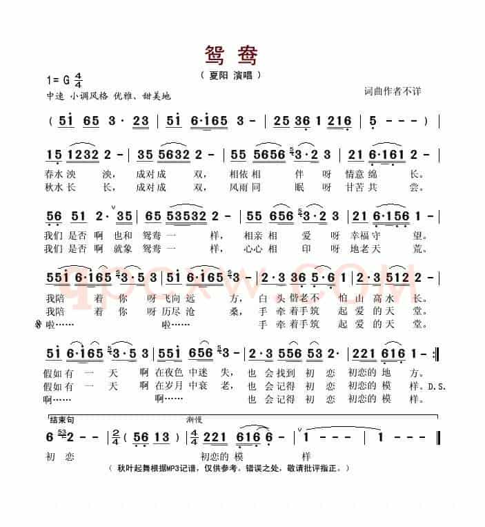 鸳鸯