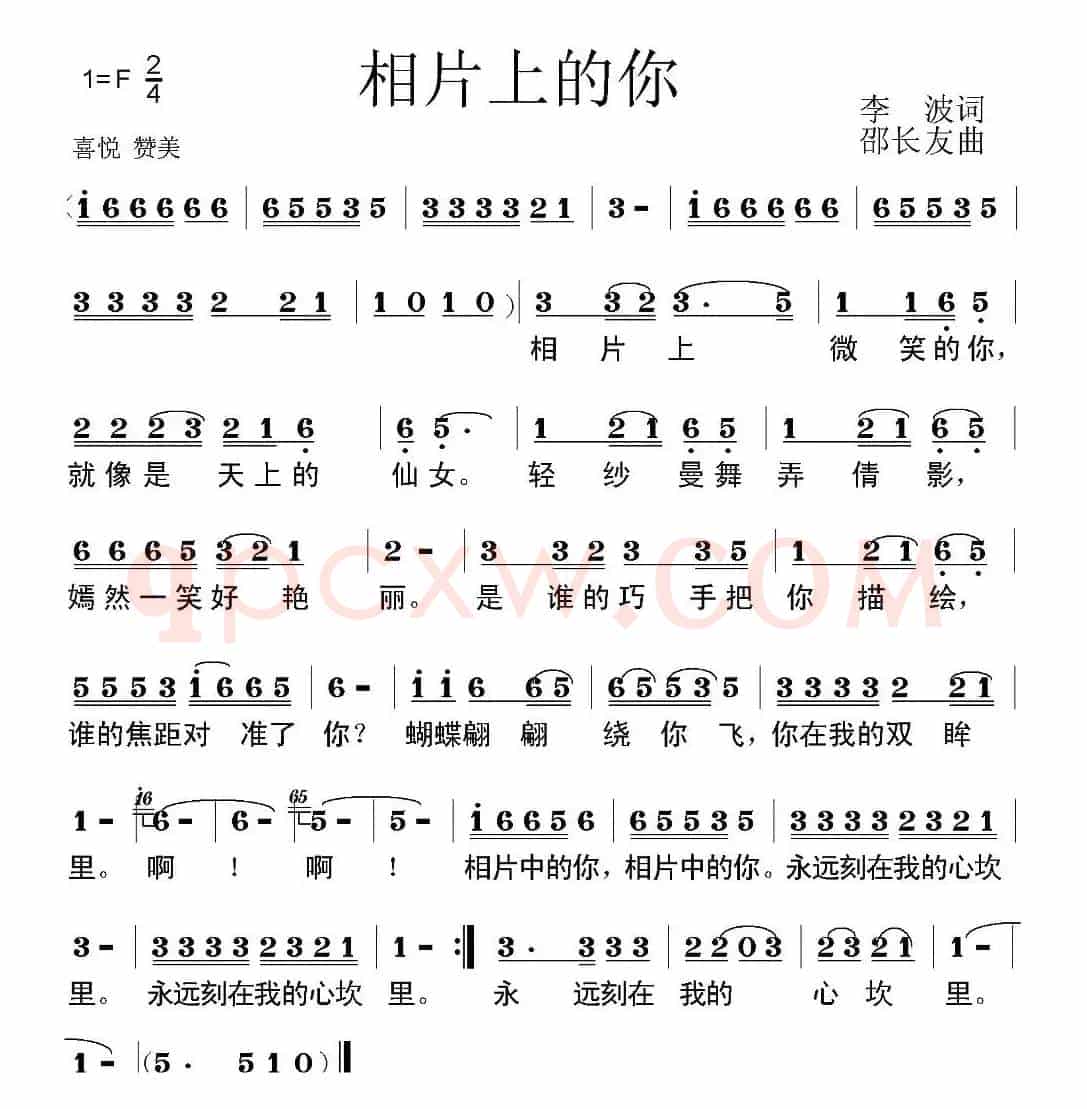 相片上的你