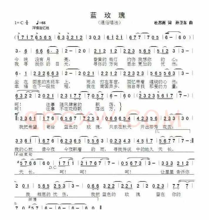 蓝玫瑰