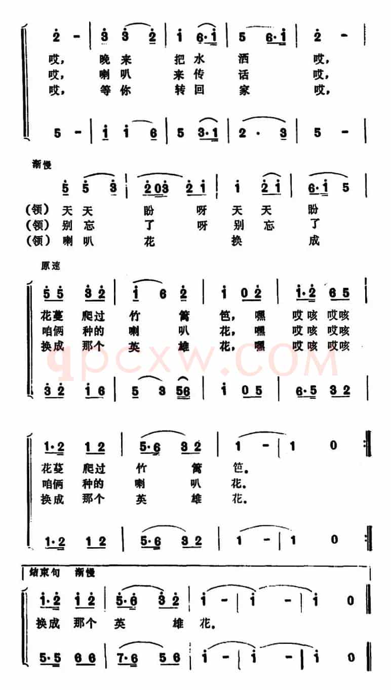 喇叭花 （尹振华 邵强词 张保生曲）