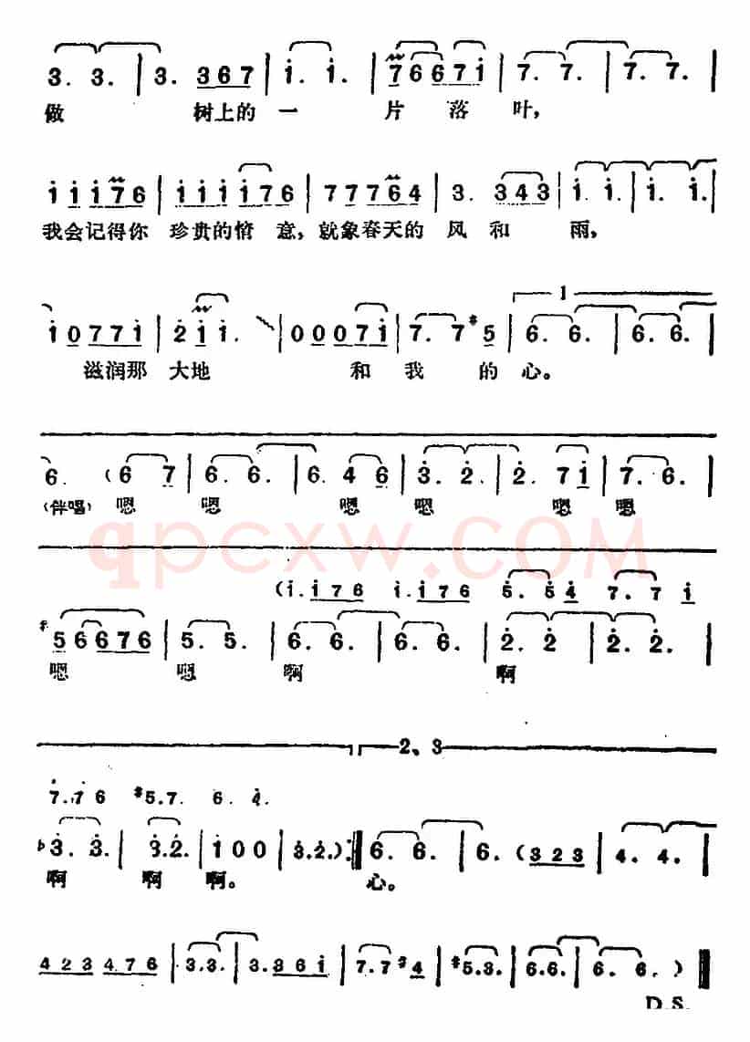 邓丽君演唱金曲：一片落叶