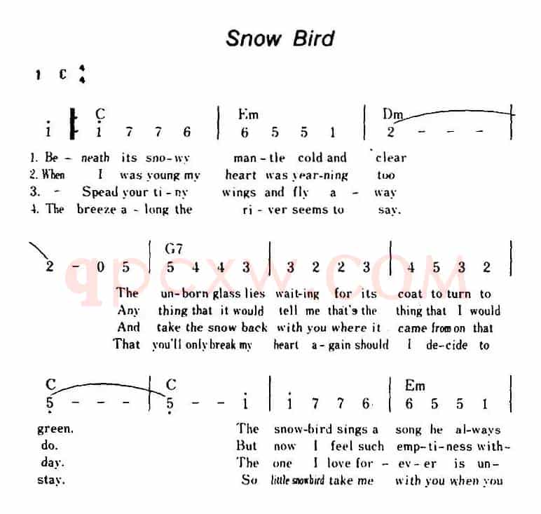 [美]Snow Bird（雪鸟、带和弦）