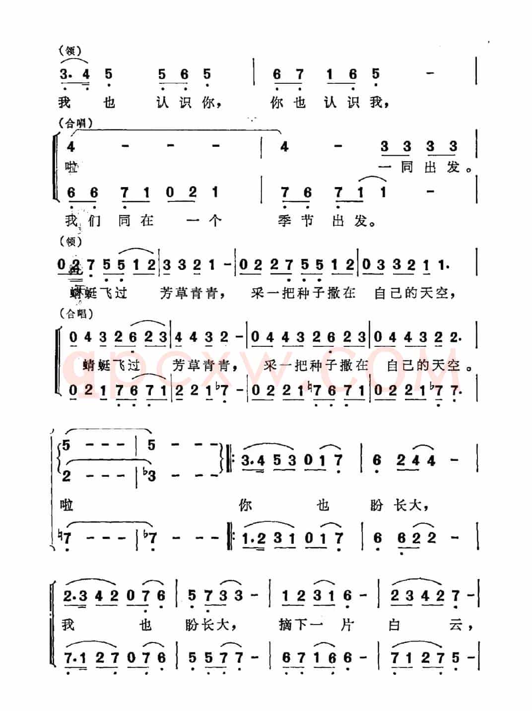 盛开在蓝天下（同名儿童电视剧主题曲）