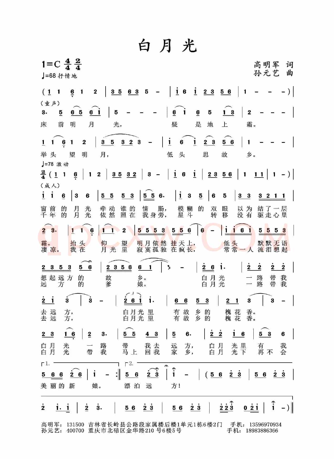 白月光