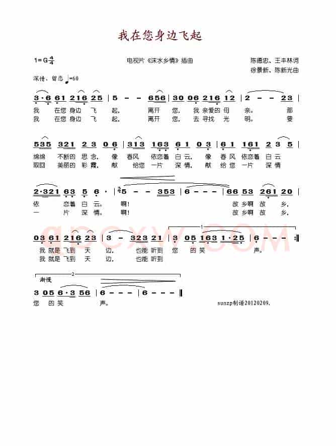 我在您身边飞起