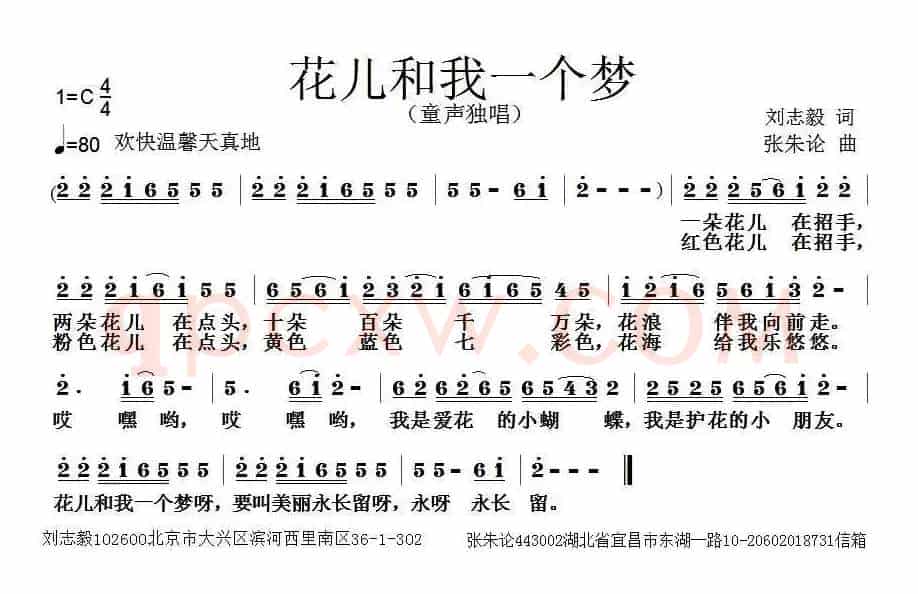 花儿和我一个梦
