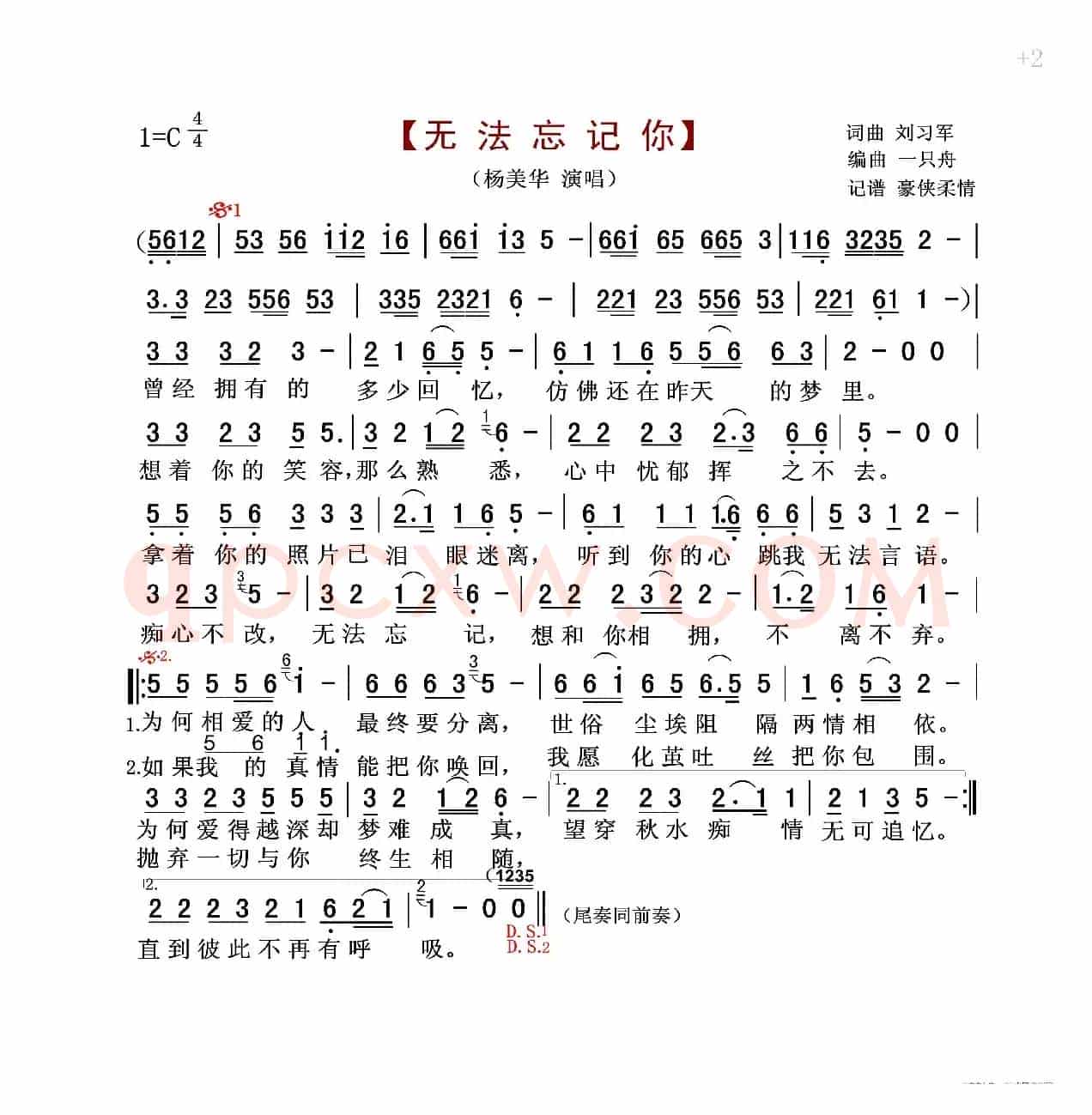 无法忘记你(杨美华)