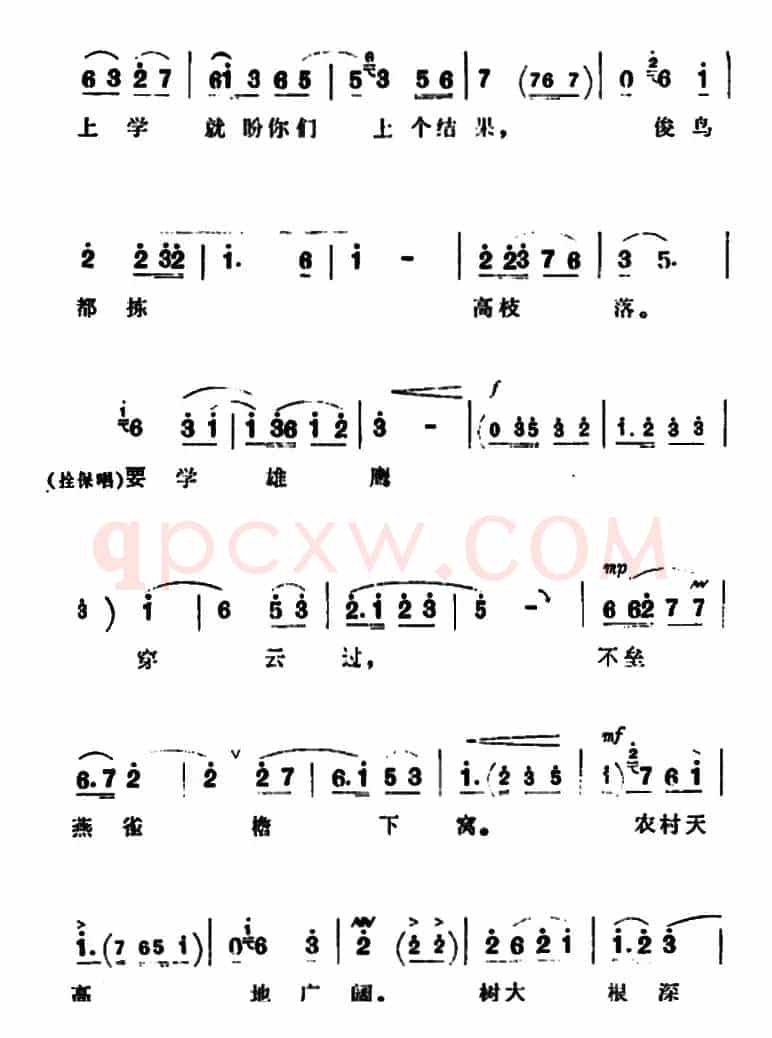 要学雄鹰穿云过（《朝阳沟》拴保、银环妈对唱）