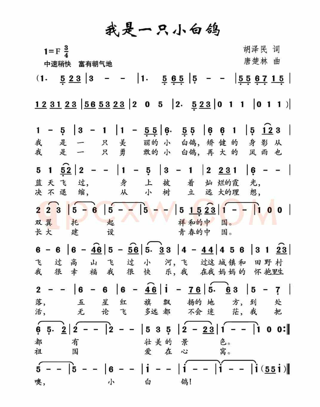 我是一只小白鸽