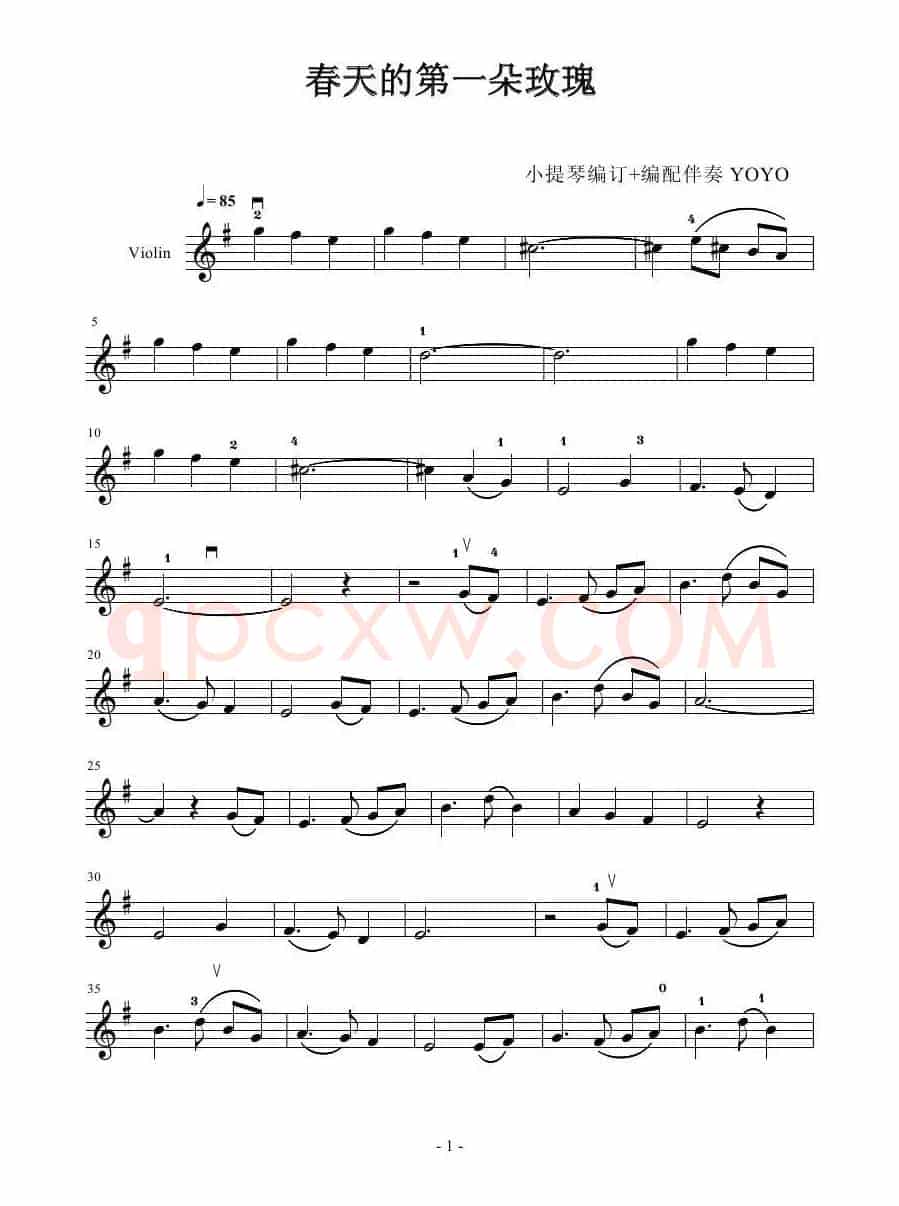 春天第一朵玫瑰    （小提琴谱）