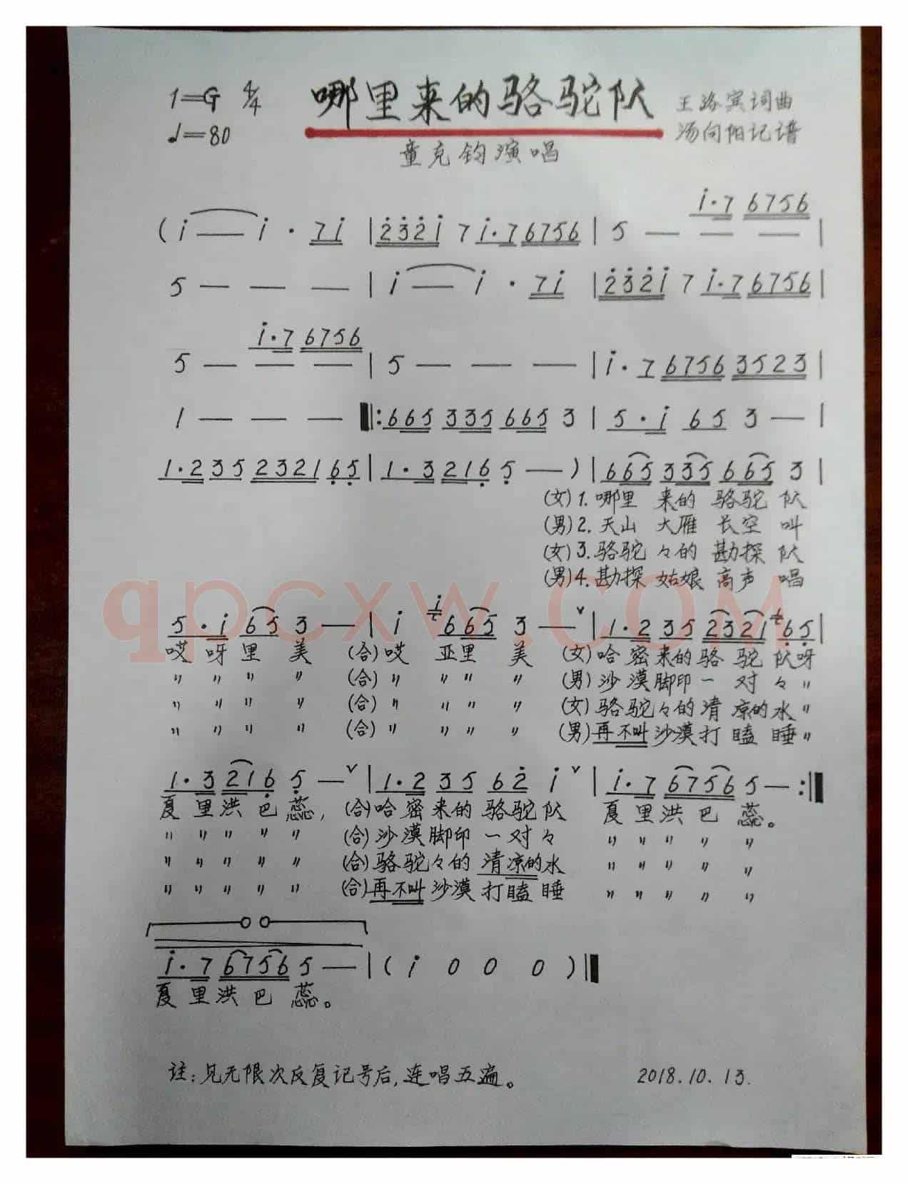 哪里来的骆驼队