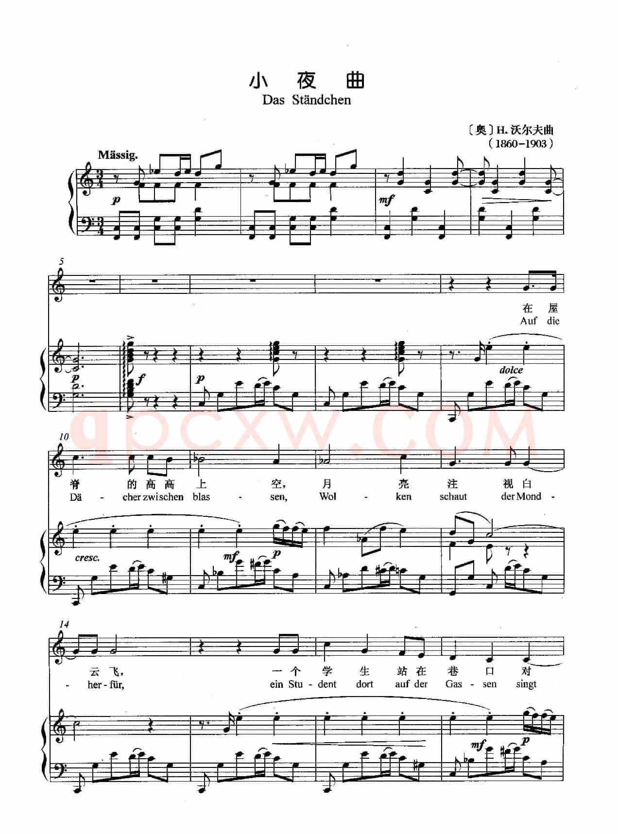 [奥]小夜曲（正谱）
