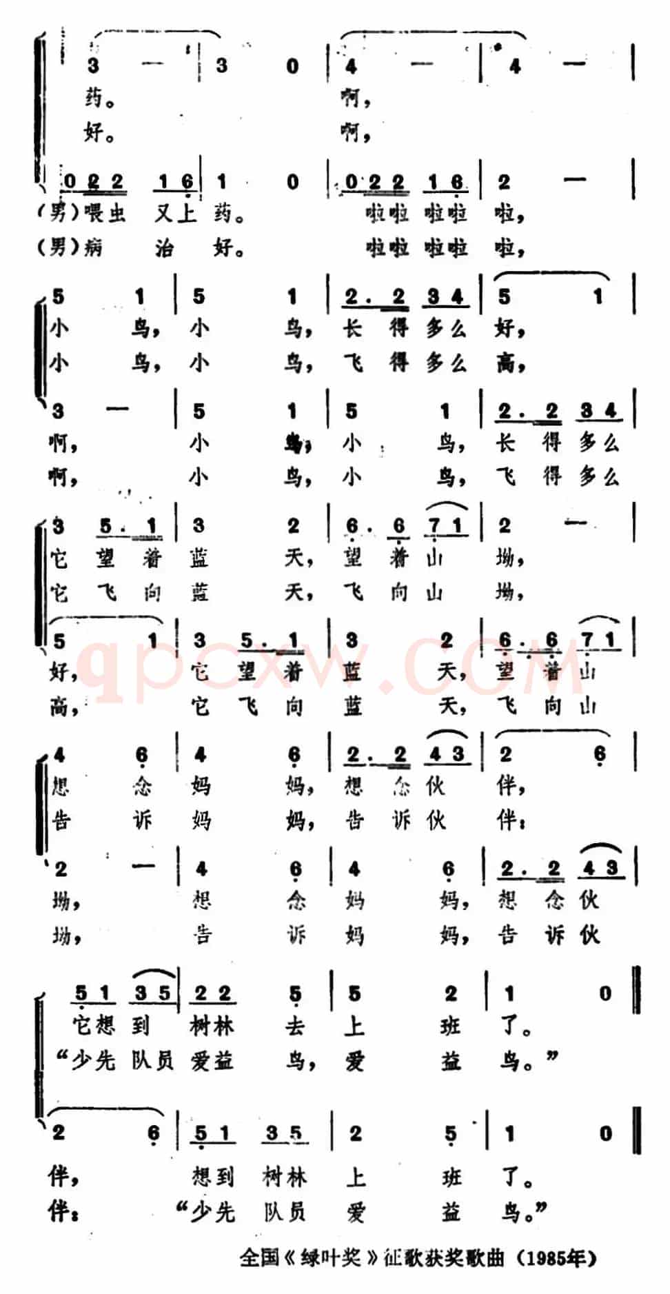 少先队员爱益鸟