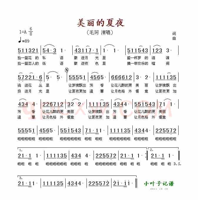 美丽的夏夜