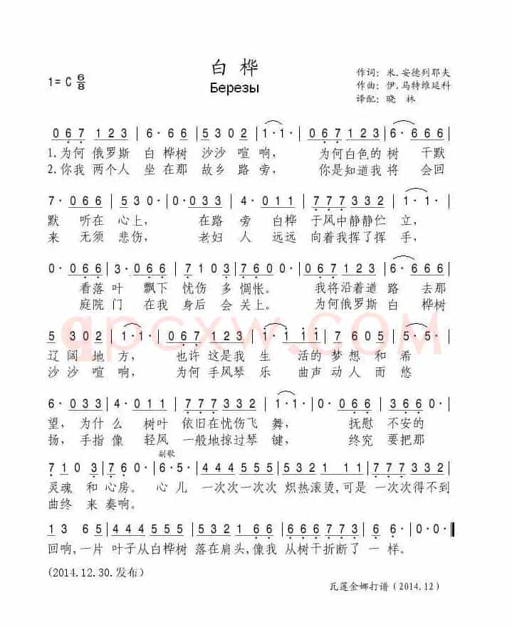 [俄罗斯]白桦