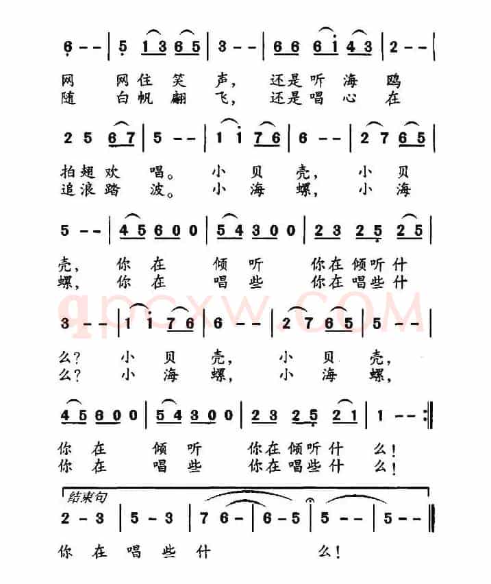 小贝壳，小海螺