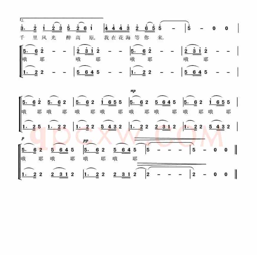 杜鹃花儿开 （娄建词 杨雪曲、独唱+伴唱）