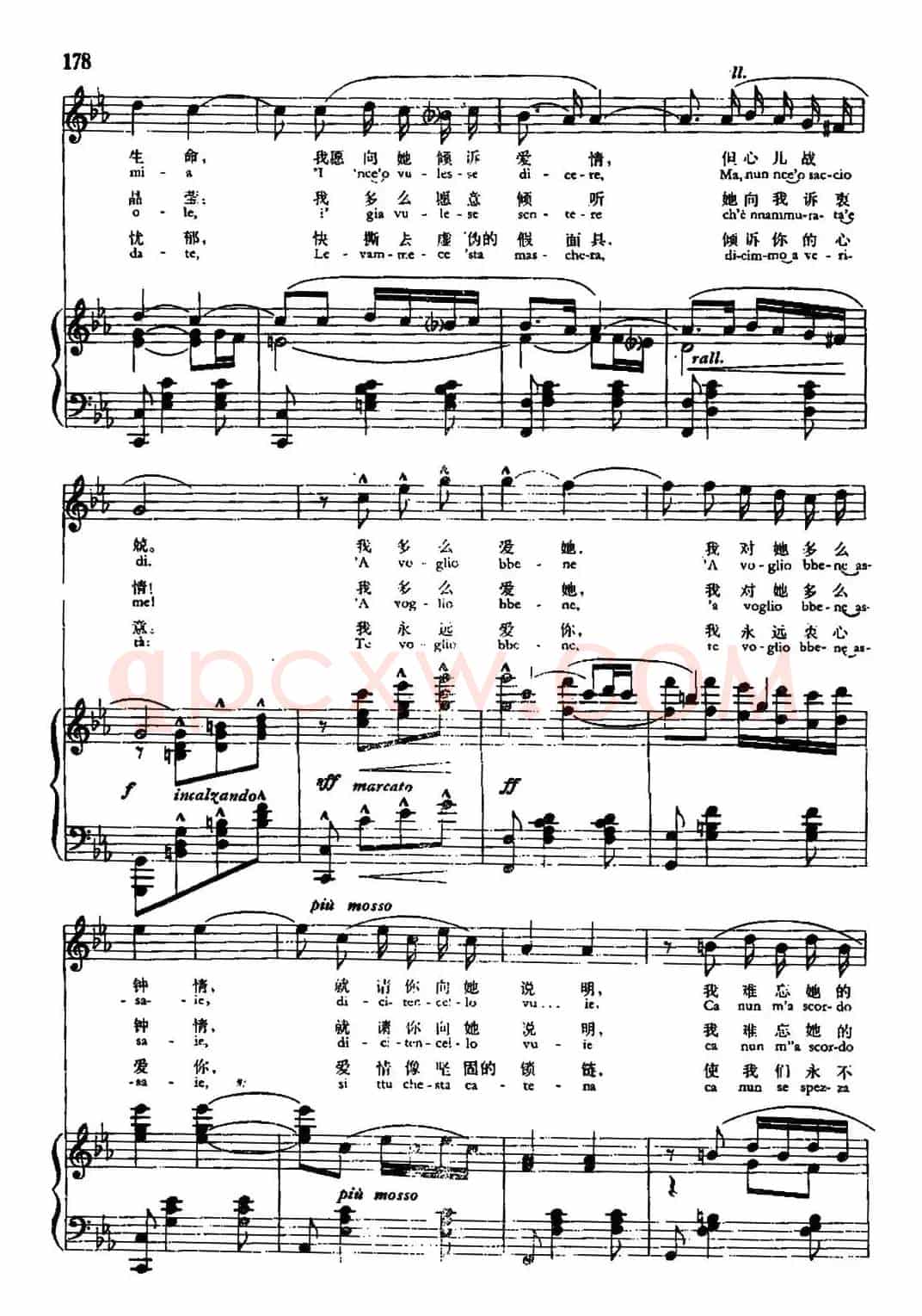 [意]请你告诉她（中外文对照、正谱）