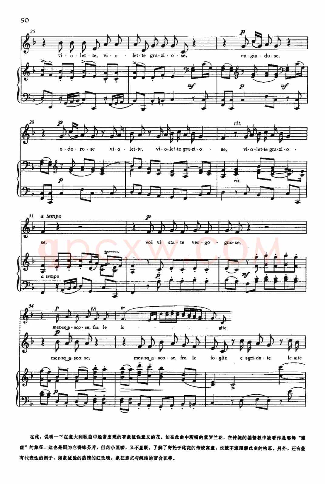 [意]Le vioette（紫罗兰）