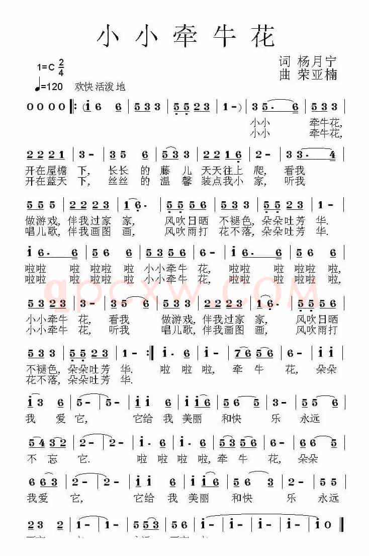 小小牵牛花（杨月宁词 荣亚楠曲）