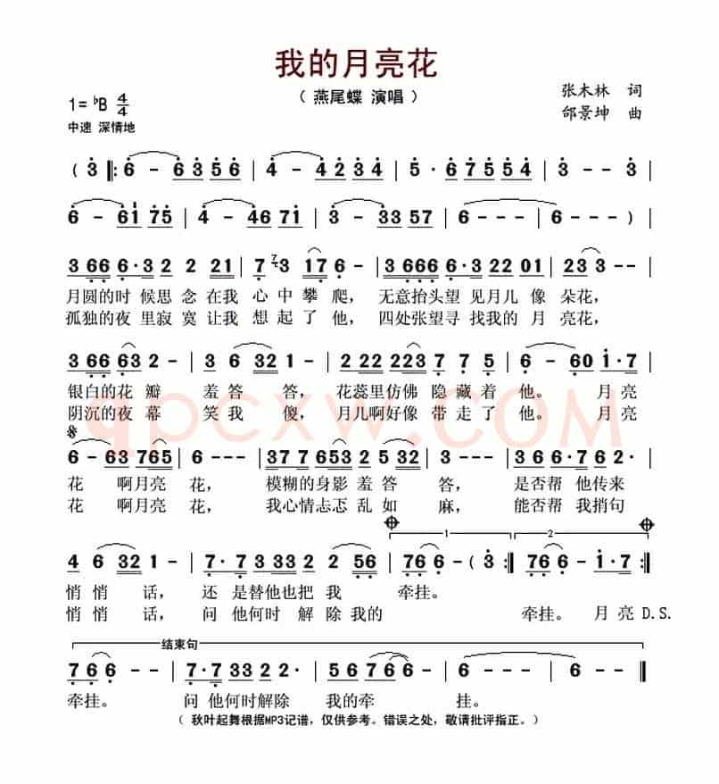 我的月亮花