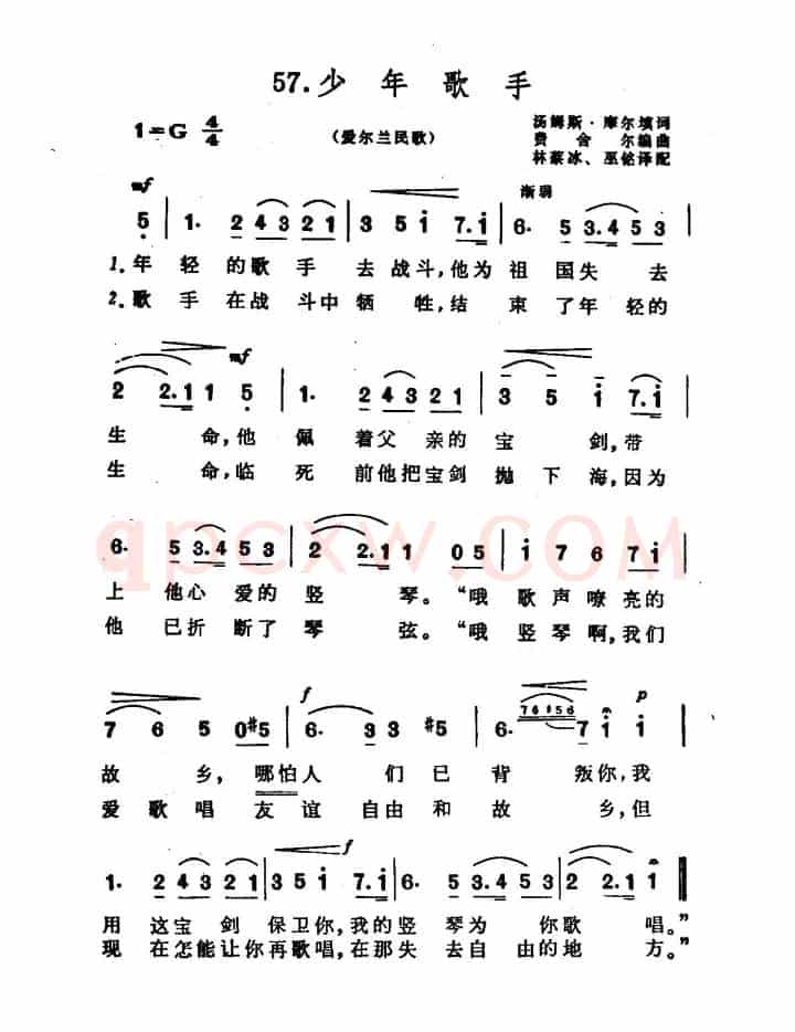 [爱尔兰]少年歌手