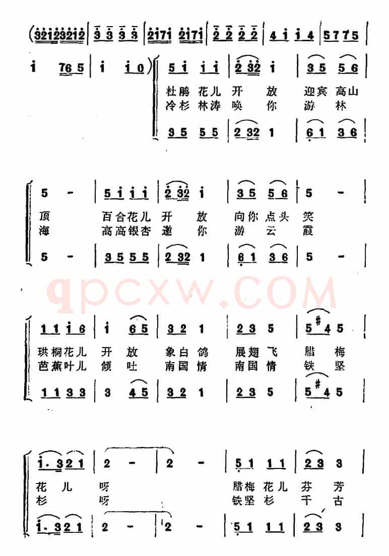 美丽的神农架 