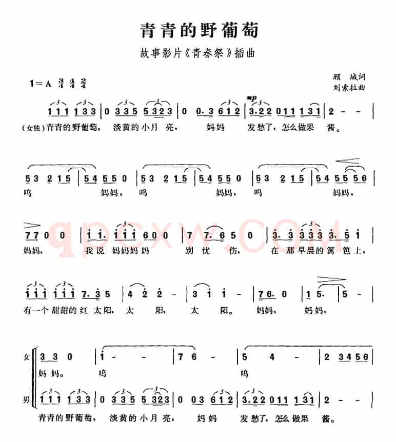 青青的野葡萄（故事影片《青春祭》插曲）