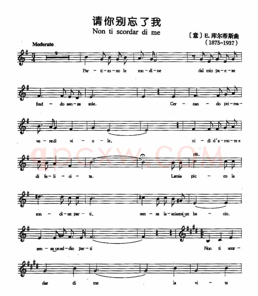 [意]请你别忘了我（五线谱 ）