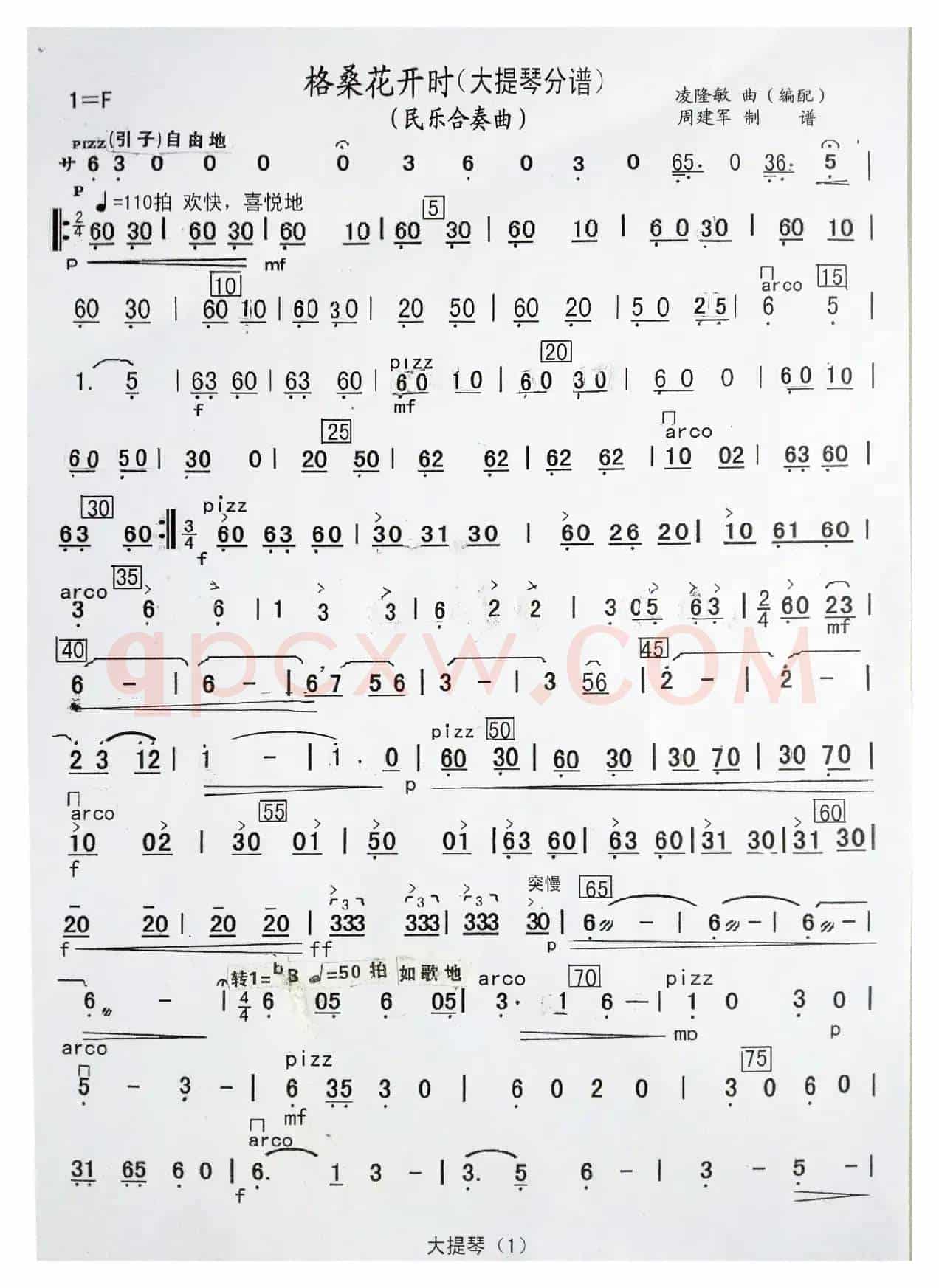 格桑花开时（民乐合奏曲分谱）