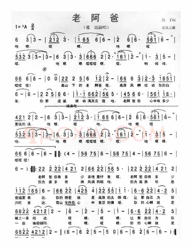 老阿爸