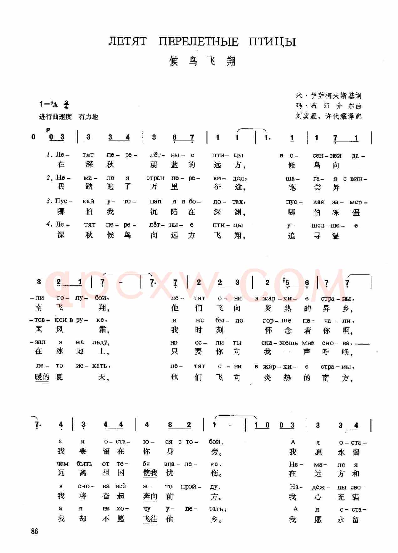 [俄]候鸟飞翔