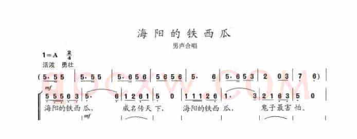 海阳的铁西瓜