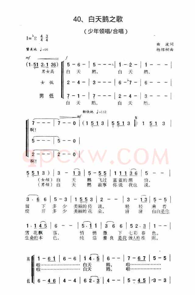 白天鹅之歌（合唱）