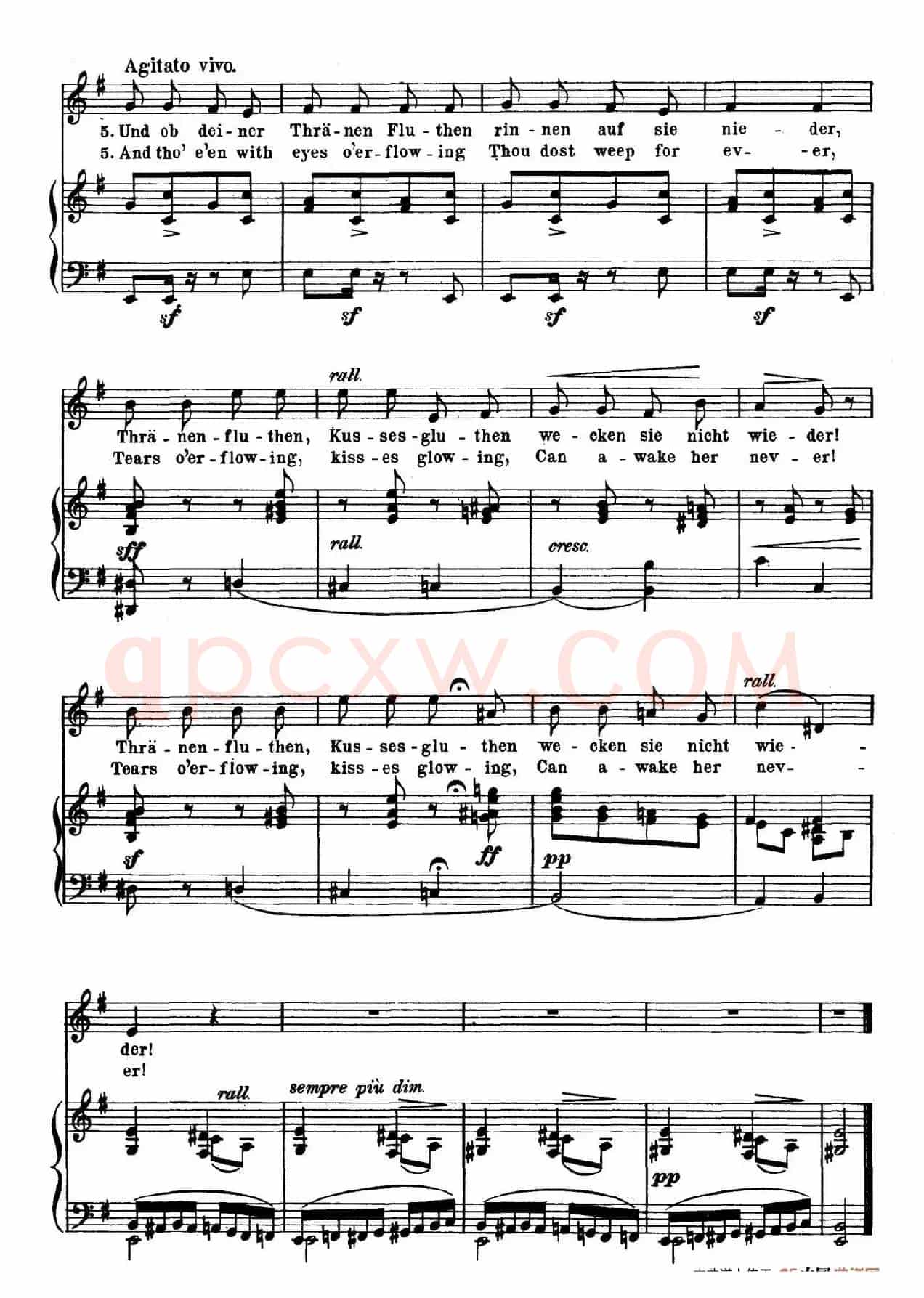 回家 Die Heimkehr(正谱)