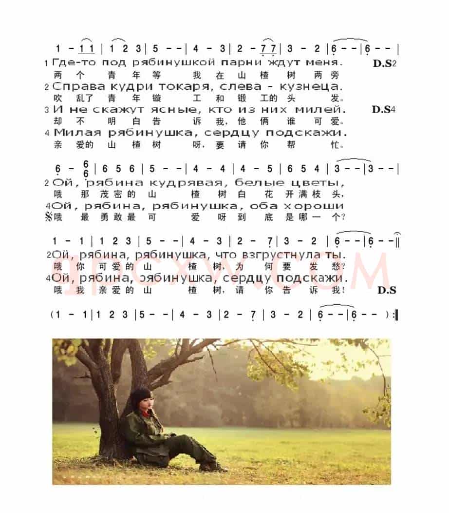 山楂树(双语歌词)