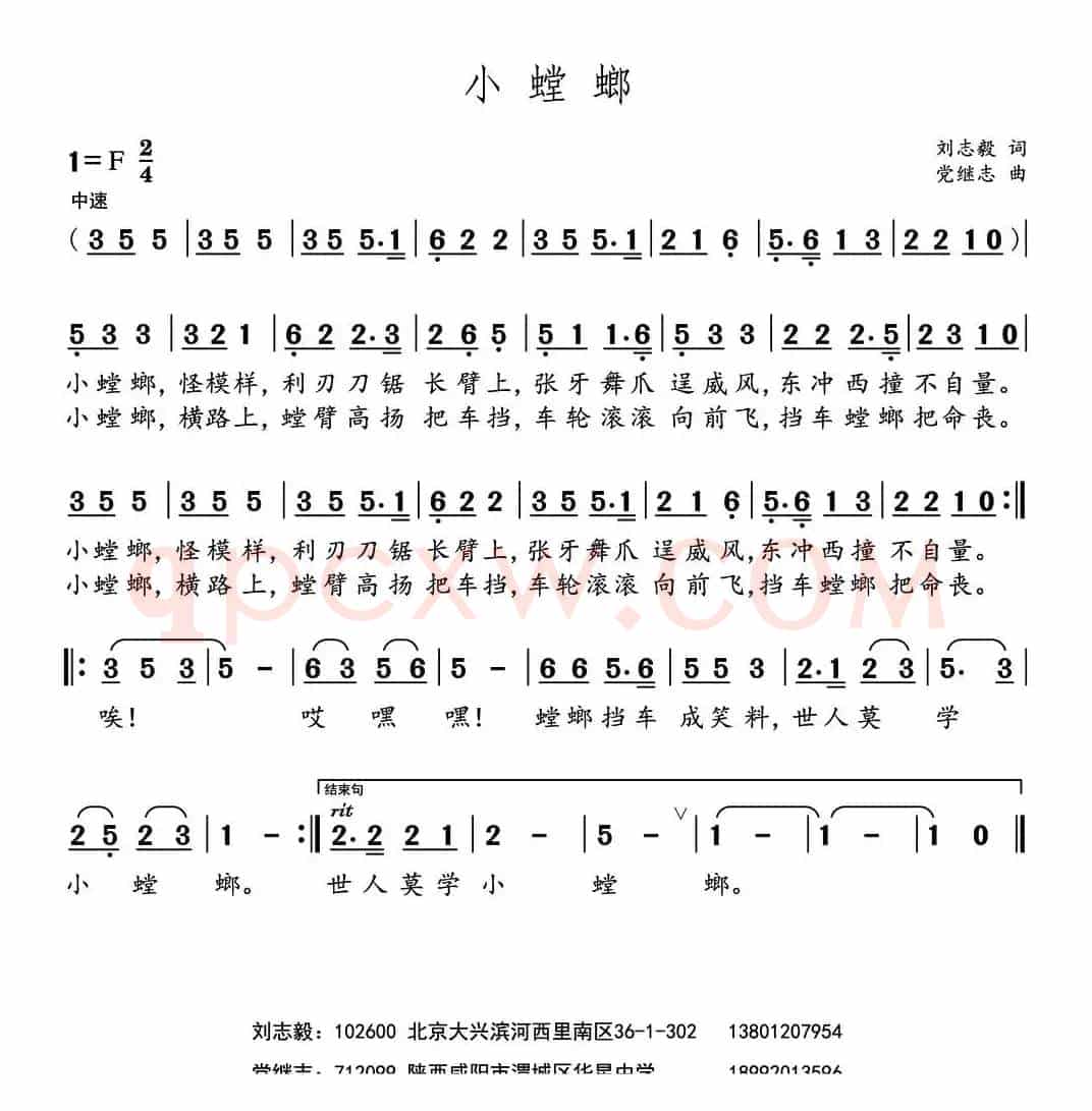 小螳螂